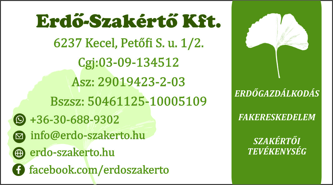 kép